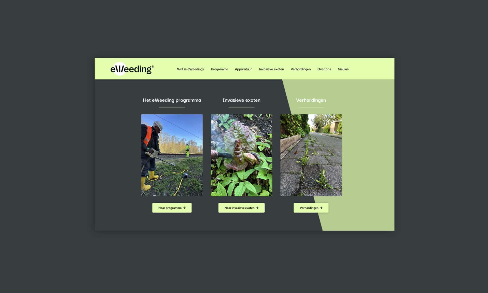 mockup werk 100 diensten eweeding