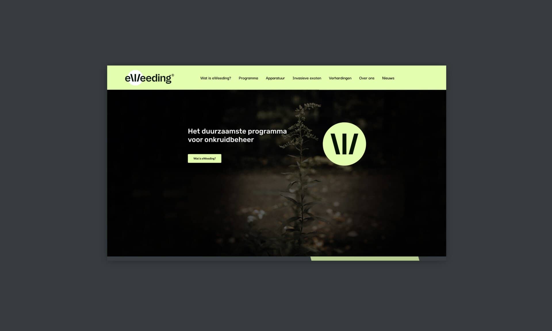 mockup werk 100 hero eweeding