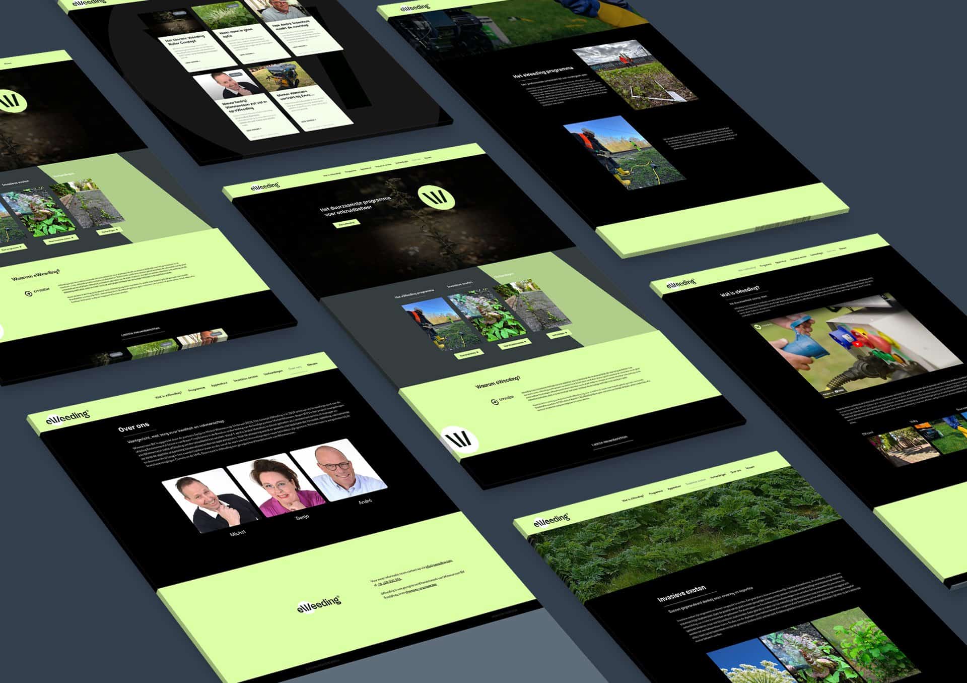 mockup hero eweeding